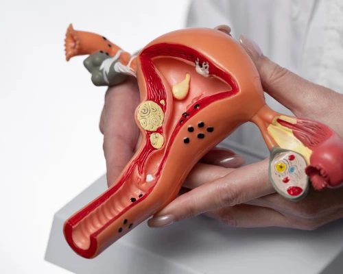 Can You Get Pregnant with PCOS/PCOD? Here’s the Medical Truth